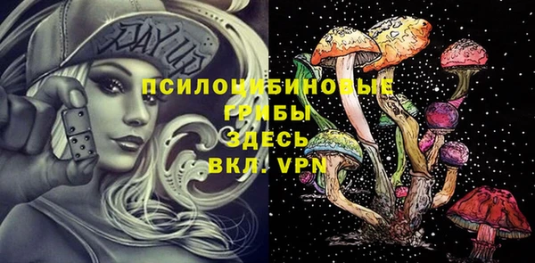 кокс Алексин
