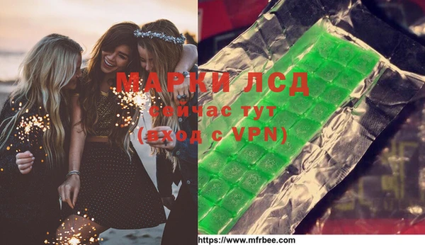 хмурый Абаза