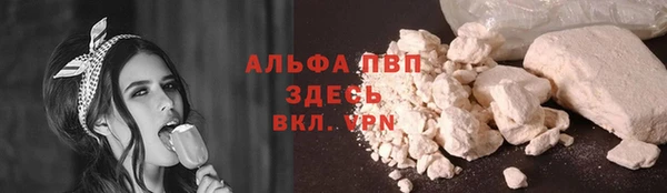 сатива Абинск